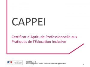 CAPPEI Certificat dAptitude Professionnelle aux Pratiques de lducation