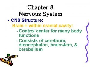 Chapter 8 Nervous System CNS Structure Brain within