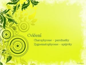 Cvien Charophyceae paronatky Zygnematophyceae spjivky Spolen znaky Vvojov