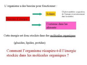 Lorganisme a des besoins pour fonctionner Solaire Besoins