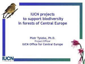 IUCN projects to support biodiversity in forests of