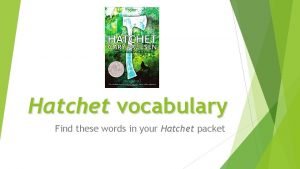 Hatchet vocabulary 1-3