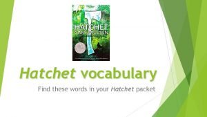 Hatchet vocabulary words and definitions