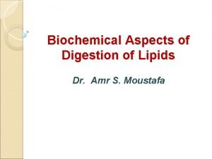 Lipid digestion enzymes