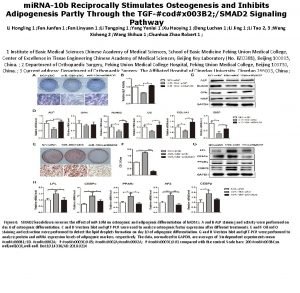 mi RNA10 b Reciprocally Stimulates Osteogenesis and Inhibits