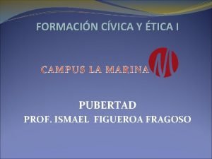 Cvica