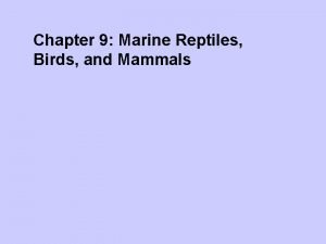 Chapter 9 Marine Reptiles Birds and Mammals Vertebrates