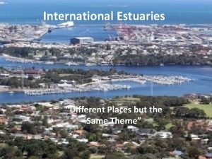 International Estuaries Different Places but the Same Theme