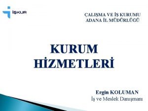 Ergin koluman