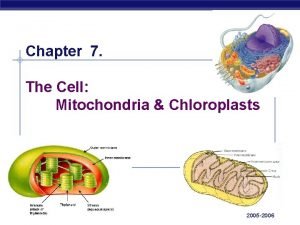 Chapter 7 The Cell Mitochondria Chloroplasts AP Biology