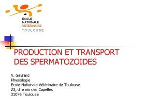 ECOLE NATIONALE VETERINAIRE TOULOUSE PRODUCTION ET TRANSPORT DES