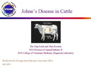 Johnes Disease in Cattle Drs Pepi Leids and