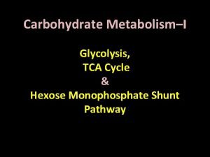 Carbohydrate MetabolismI Glycolysis TCA Cycle Hexose Monophosphate Shunt