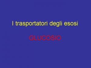 I trasportatori degli esosi GLUCOSIO I trasportatori degli