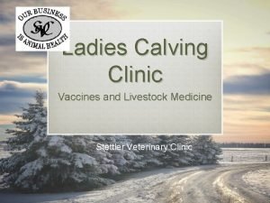 Ladies Calving Clinic Vaccines and Livestock Medicine Stettler
