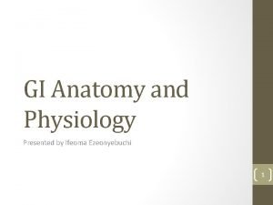 GI Anatomy and Physiology Presented by Ifeoma Ezeonyebuchi