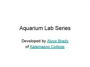 Aquarium Lab Series Developed by Alyce Brady of