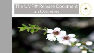 The UMF Release Document an Overview Rationale The