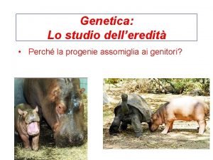 Genetica Lo studio delleredit Perch la progenie assomiglia