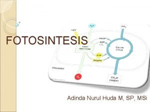 FOTOSINTESIS Adinda Nurul Huda M SP MSi Dimana