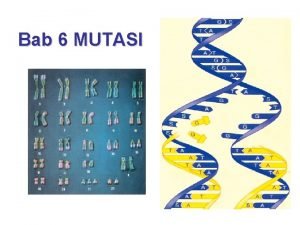 Bab 6 MUTASI MUTASI menghasilkan Perubahan materi genetik