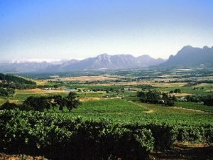1659 wine farm