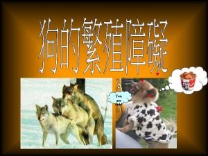 You are sick Canine estrous cycle dog in