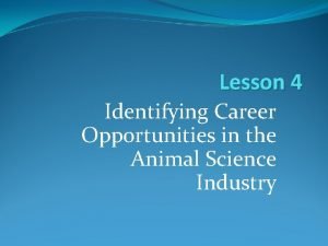 Lesson 4 Identifying Career Opportunities in the Animal