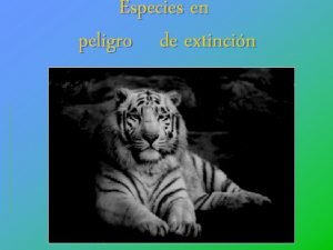 Especies en peligro de extincin Qu son las