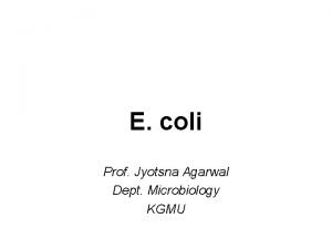 E coli Prof Jyotsna Agarwal Dept Microbiology KGMU