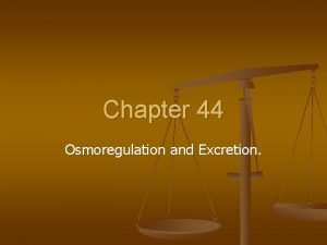 Chapter 44 Osmoregulation and Excretion Salvins Albatross Concept