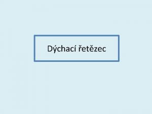 Dchac etzec Respiran etzec Vnitn strana membrny mitochondri