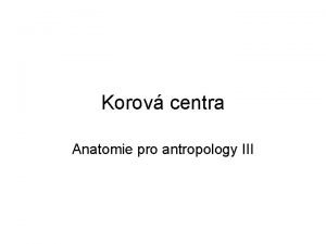 Korov centra Anatomie pro antropology III FUNKN TOPOGRAFIE