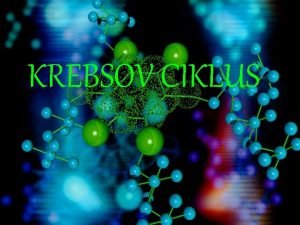 Ciklus limunske kiseline Ciklus limunske kiseline