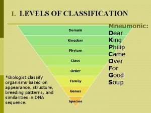What are the 8 levels of classification