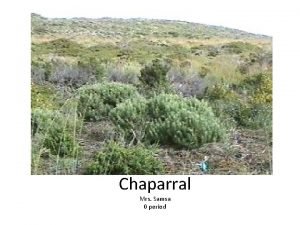 Chaparral biome abiotic factors