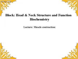 Biochemistry of muscle contraction