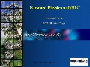 Forward Physics at RHIC Ramiro Debbe BNL Physics