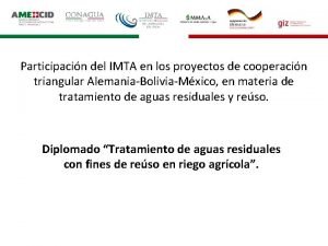 Participacin del IMTA en los proyectos de cooperacin