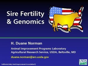 Sire Fertility Genomics H Duane Norman Animal Improvement