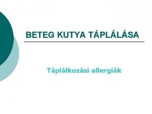 BETEG KUTYA TPLLSA Tpllkozsi allergik Tpllkozsi eredet brbetegsgek