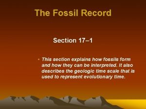 Section 17-1 the fossil record