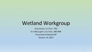 Wetland Workgroup Amy Jacobs CoChair TNC Erin Mc