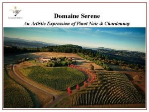 Domaine serene winemaker