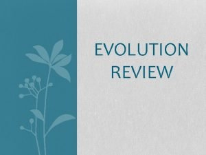 EVOLUTION REVIEW Evidence for Evolution What do we