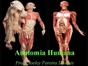 Anatomia Humana Prof Joelcy Pereira Tavares O Corpo