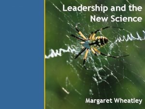 Margaret wheatley leadership and the new science
