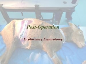 PostOperation Exploratory Laparotomy Immediately after surgery Patient in