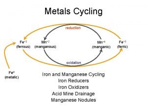 Metals Cycling reduction Fe2 ferrous Mn2 manganous Mn4
