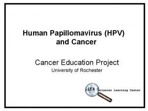 Human Papillomavirus HPV and Cancer Education Project University
